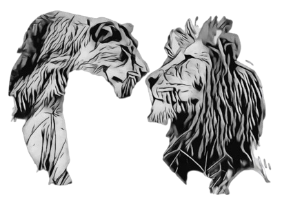 From Dreams To Africa